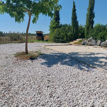 Villa Domaine Mas Gaudy Charme Piscine & Clim *